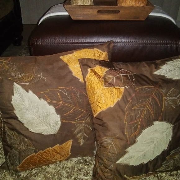 Pier 1 Other - Decorative Accent Pillow Cases